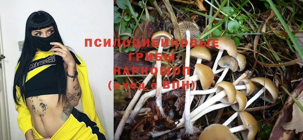 экстази Елизово