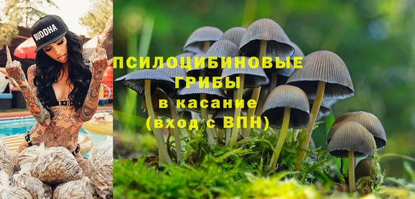 кристаллы Ельня