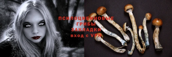 кристаллы Ельня