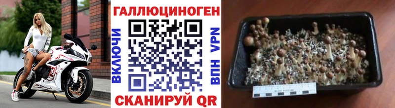 Псилоцибиновые грибы мухоморы  мега зеркало  Татарск  сколько стоит 